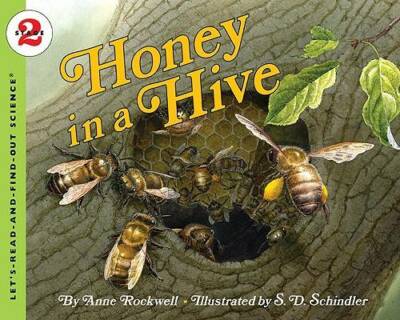 Honey in a Hive (Let's-Read-and-Find-Out Science 2) - Paperback - GOOD