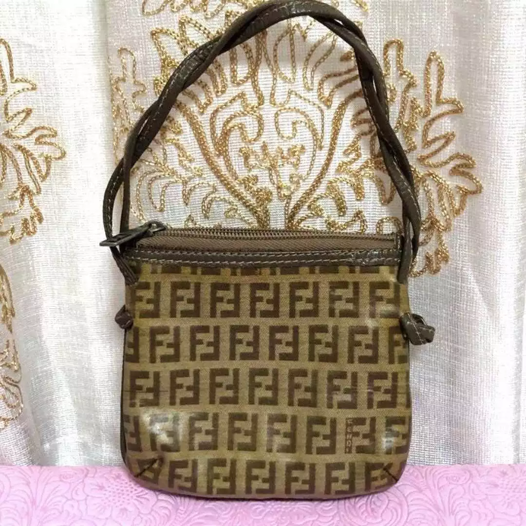 brown fendi pouch