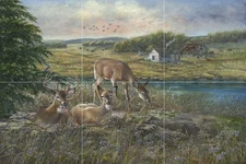 Ceramic Backsplash Tile Mural Deer Elk Kitchen/Bathroom - Evening Shadows