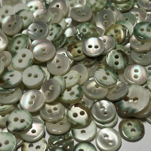 Japanese Natural Oyster Shell Shirting Buttons Green Back 8mm 9mm 11mm 13mm 2h - Picture 2 of 12