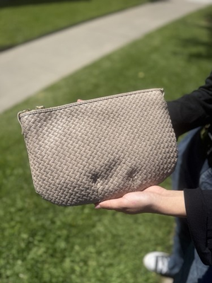 #ad NEW Quince Italian Handwoven Leather Mini Shoulder Bag Taupe Free Shipping $78.99