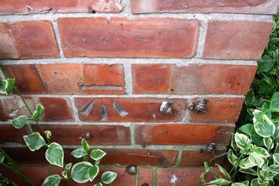 Foto 6x4 Benchmark auf #42 Haig Road Hipswell Ordnance Survey Schnittmarke be c2016