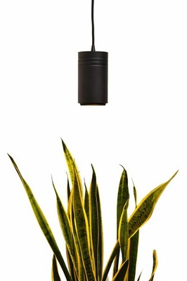 Aspect Soltech Gen 2   World s First Decor Grow Light | Black High-O