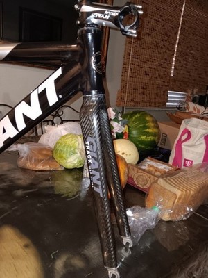 Giant T-mobile Team Track Frameset Giant Omnium Size Small 44cm | eBay