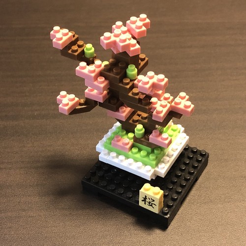 DAISO Petit Block Bonsai Plant Series Cherry Blossom & Pine Tree Set Japan - Picture 2 of 18