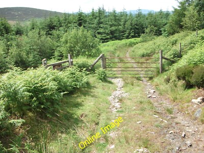 Photo 12x8 The end of ''open access'' land Carrog/SJ1043 The majority of  c2012
