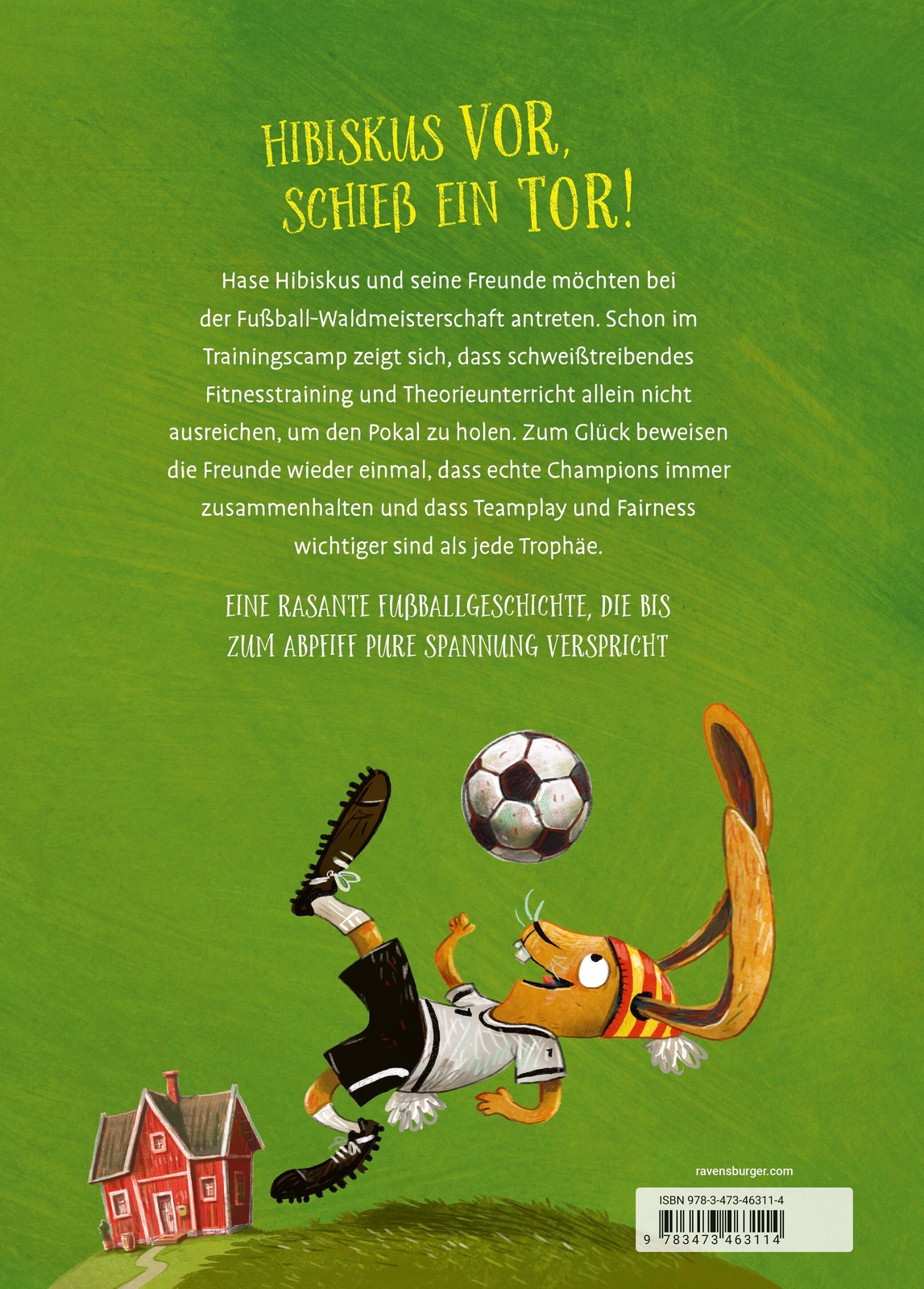 Thumbnail - Hase Hibiskus Und Die Fußball-waldmeisterschaft (fußball-buch Für