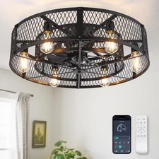 Caged Ceiling Fan with Light: 26 Inch Ceiling Fan with Remote APP Control Qui...