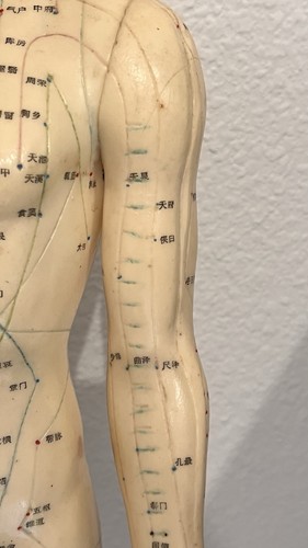 Acupuncture Points Model Nude male Doll Rubber sculpture Scientific biology Vntg - Picture 6 of 17