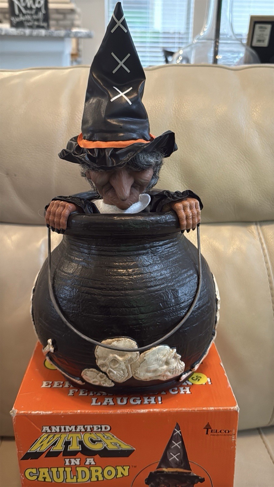 Picture 5 of 11