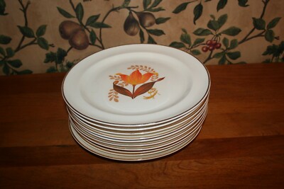 10-VINTAGE BAKERITE/HARKER MODERN TULIP LUNCHEON PLATES- 9''