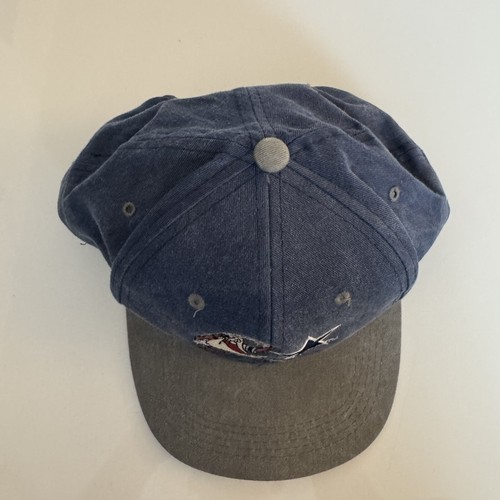 Vintage 90s Taz Dallas Cowboys YOUTH Hat Cap Snapback NFL Football Looney Tunes - Picture 8 of 12