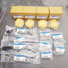 OEM FORD Timing Chain Kit HL3Z6268A HL3Z6B274A for 17-24 F150 Ecoboost 3.5L