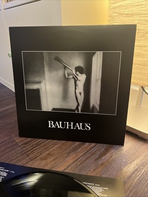 In the Flat Field by Bauhaus (Record, 2013)
