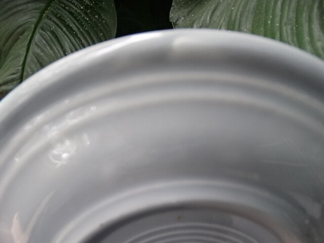 Picture 4 of 6
