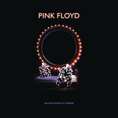 Pink Floyd Delicate Sound of Thunder 2019 Remix 2 CD/Blu-Ray/DVD All Regions NEW