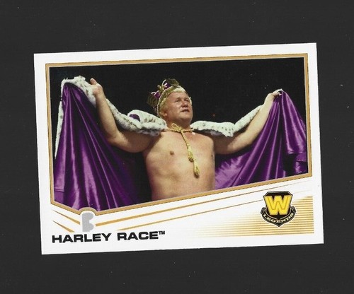 2013 WWE WRESTLING TOPPS BASE | PARALLEL | TRIPLE THREAT CARDS - MINT - You Pick - Picture 91 of 191