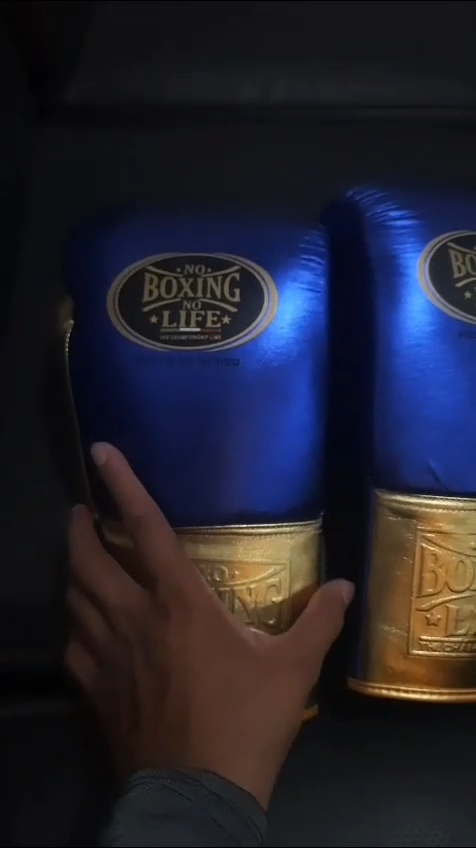 No Boxing No Life Sparring Set Boxing Gloves Head Guard Blue