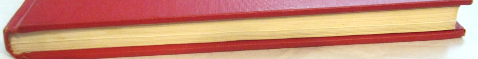 Bild 8 von 10