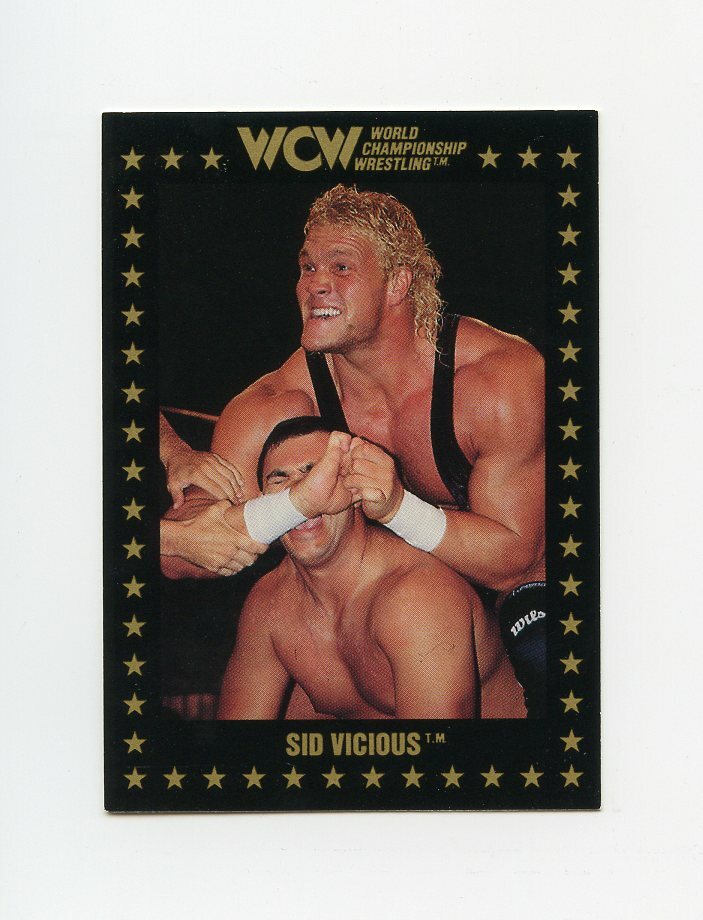 TN08148 SID VICIOUS Championship Marketing 1991 WCW Card | eBay