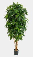 Artplants Deko Schefflera, Getopft, GrüN, 170Cm