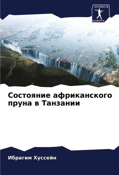 Ibragim Hussejn | Sostoqnie Afrikanskogo Pruna W Tanzanii | Taschenbuch (2024)-image