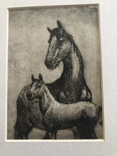 Vintage Horses Etching Mare With Foal Baby Horse Black White Art On Paper 5x7”