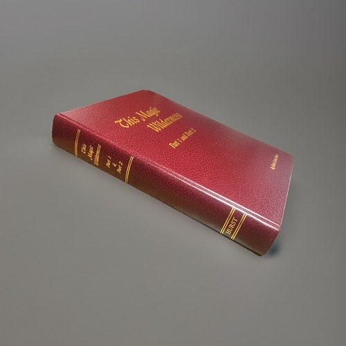 This Magic Wilderness Parts 1&2 Waycross Ware County Georgia History Genealogy - Imagen 2 de 5