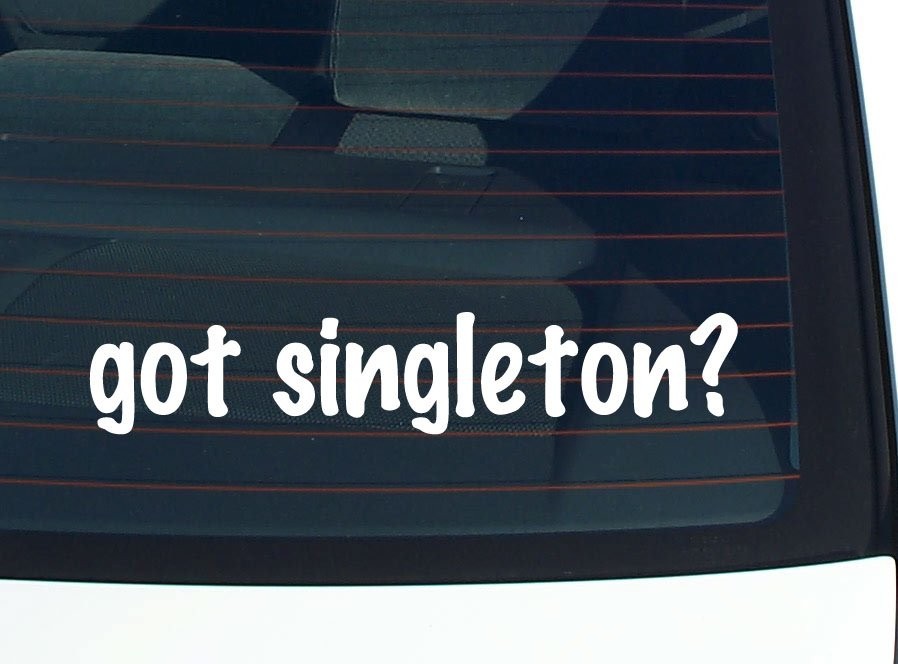 Got Singleton Car Decal Bumper Sticker Vinyl Funny Last Name Window Pride