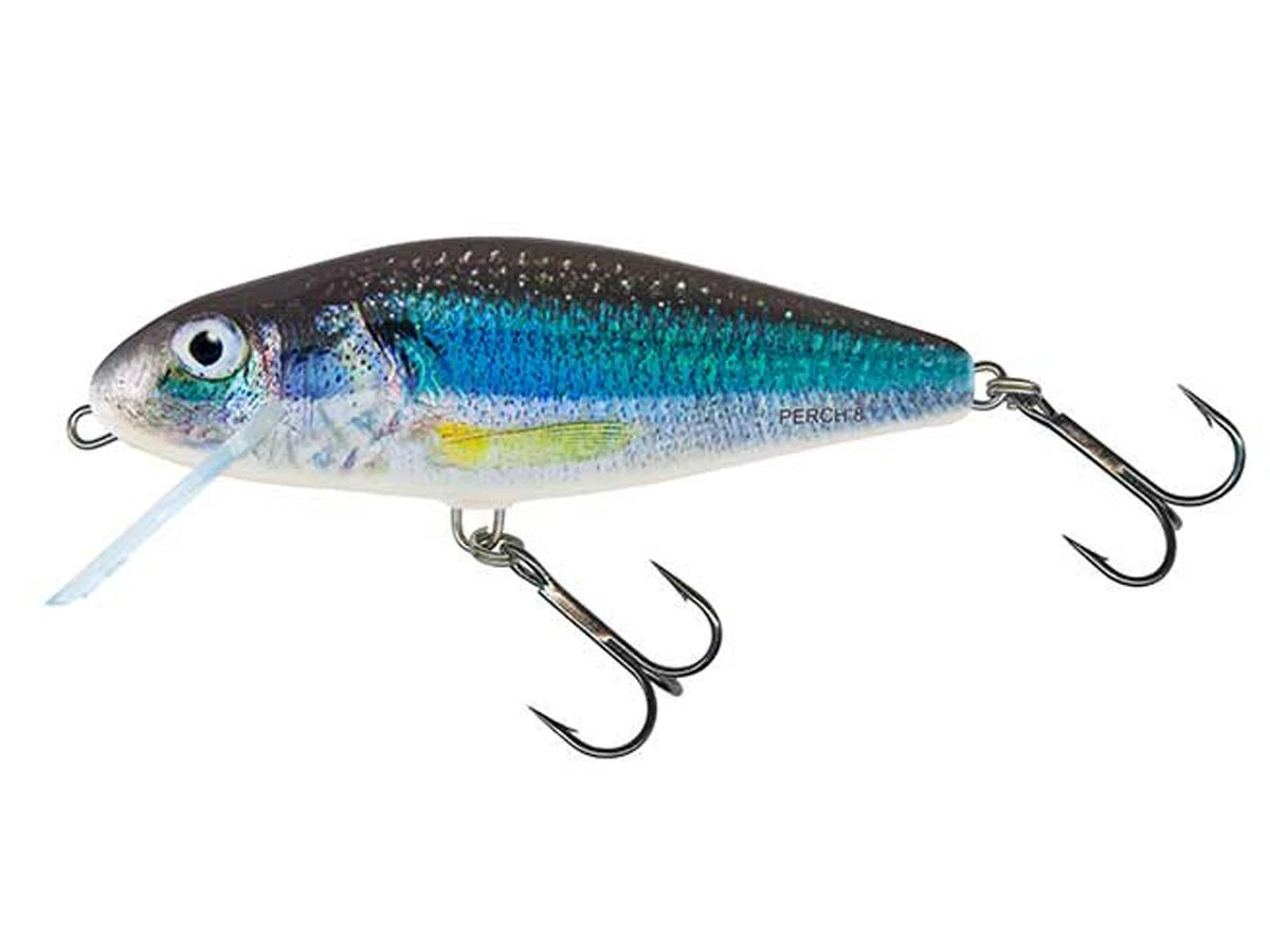 Leurre Jerkbait TREHOOK 6cm 10g Flottant - Multicolore - Pêche Brochet, Truite