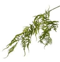 Artplants Deko Zweig Asparagus Plumosus Zweig Christian, GrüN, 85Cm