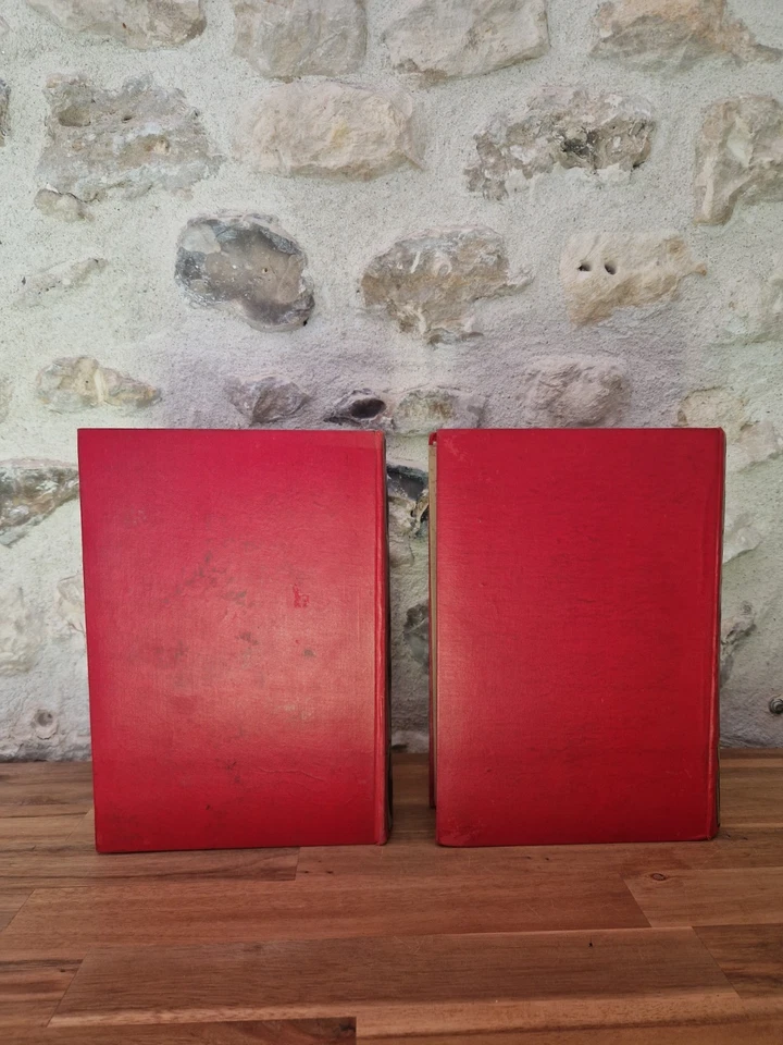 BILZ LA MEDICATION NATURELLE 2 VOLUMES 1902 LIVRE ANCIEN MEDECINE TBE - Photo 4/4