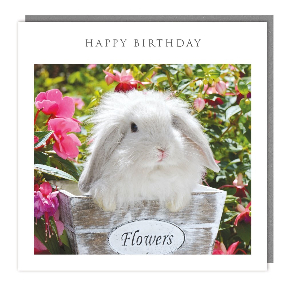 Cute Happy Birthday Bunny With Flowers Card - Adorable Animals Greeting Card