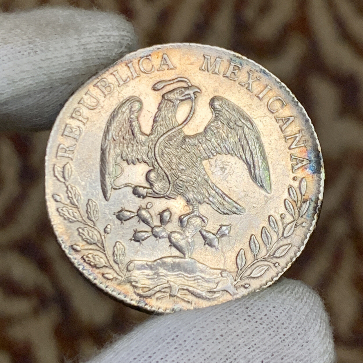 Picture 1 of 14