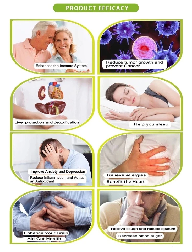 Ganoderma, cápsula en polvo de esporas rotas con cáscara de Reishi, 300 mg * 60 cps ENVÍO GRATUITO Foto 3 de 3