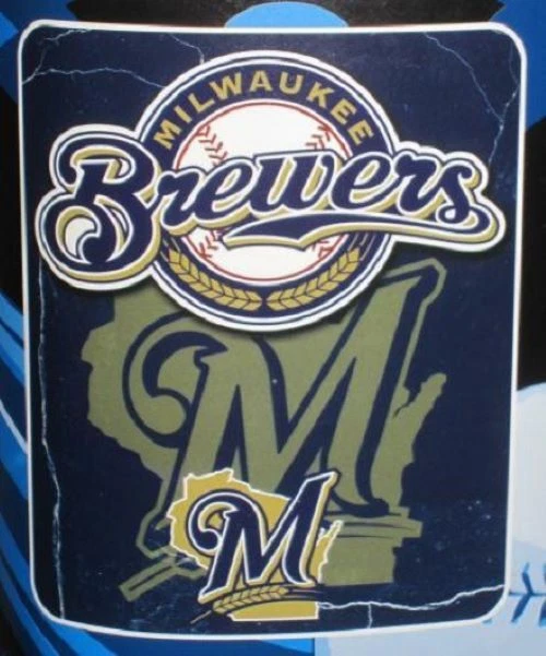 "Wicked" Fleece Throw Blanket