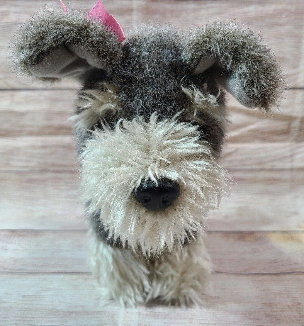 Our generation schnauzer pup cheap