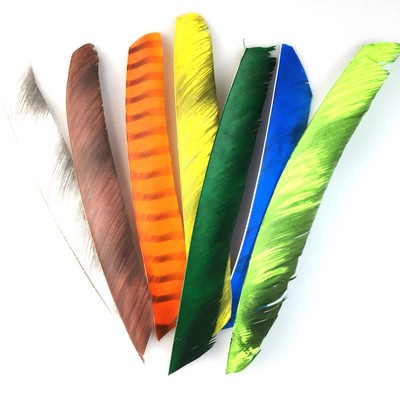 50pcs Archery Rw Fletches 18-25cm Turkey Feather Arrows for 3D Target Shooting