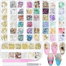 Seashell Nail Charms,5 Boxes 3D Nail Art Irregular Iridescent Natural-Ocean Nail