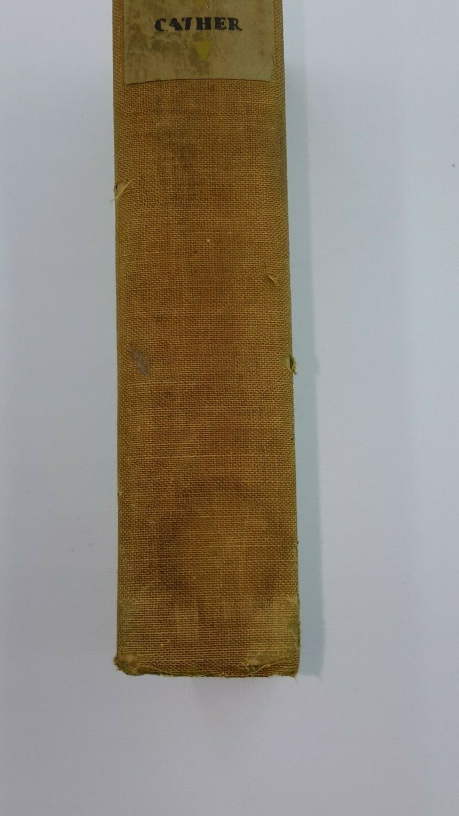 Picture 5 of 11