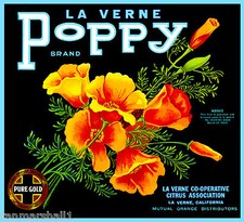 La Verne Lordsburg California Poppy Orange Citrus Fruit Crate Label Art Print