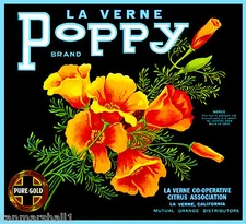 La Verne Lordsburg California Poppy Orange Citrus Fruit Crate Label Art Print