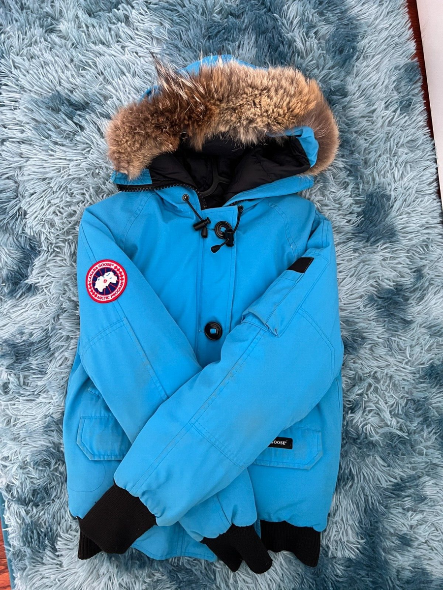 Chilliwack Bomber Jacket Canada Goose 99c5019 Yellow Canada Goose