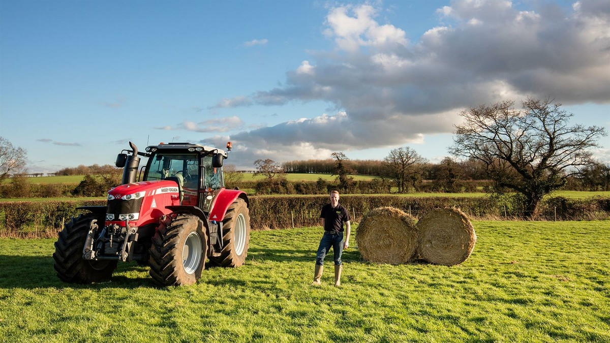 Norfolk Pastures XL Pack Premium Dust Extracted Hay OR Straw For Small Animals