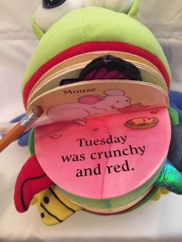 DRAGONFLY DESIGN MONDAY the BULLFROG PUPPET Book 9” Plush Stuffed Van Fleet - Picture 4 of 11