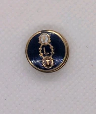 Vintage Independent Order of Odd Fellows FLT Enamel Screw Back Lapel Pin Blue