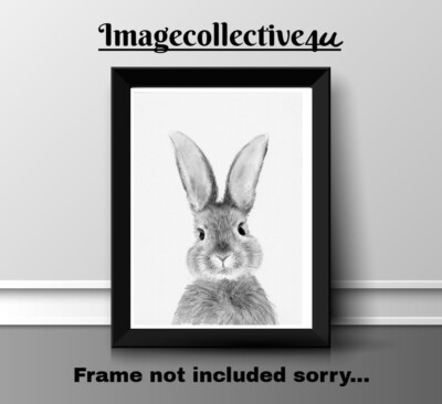 HASE HASE S/W LUSTIG A4 DRUCK BILD POSTER WANDBILD WOHNDEKO GESCHENK NEU HAUSTIER