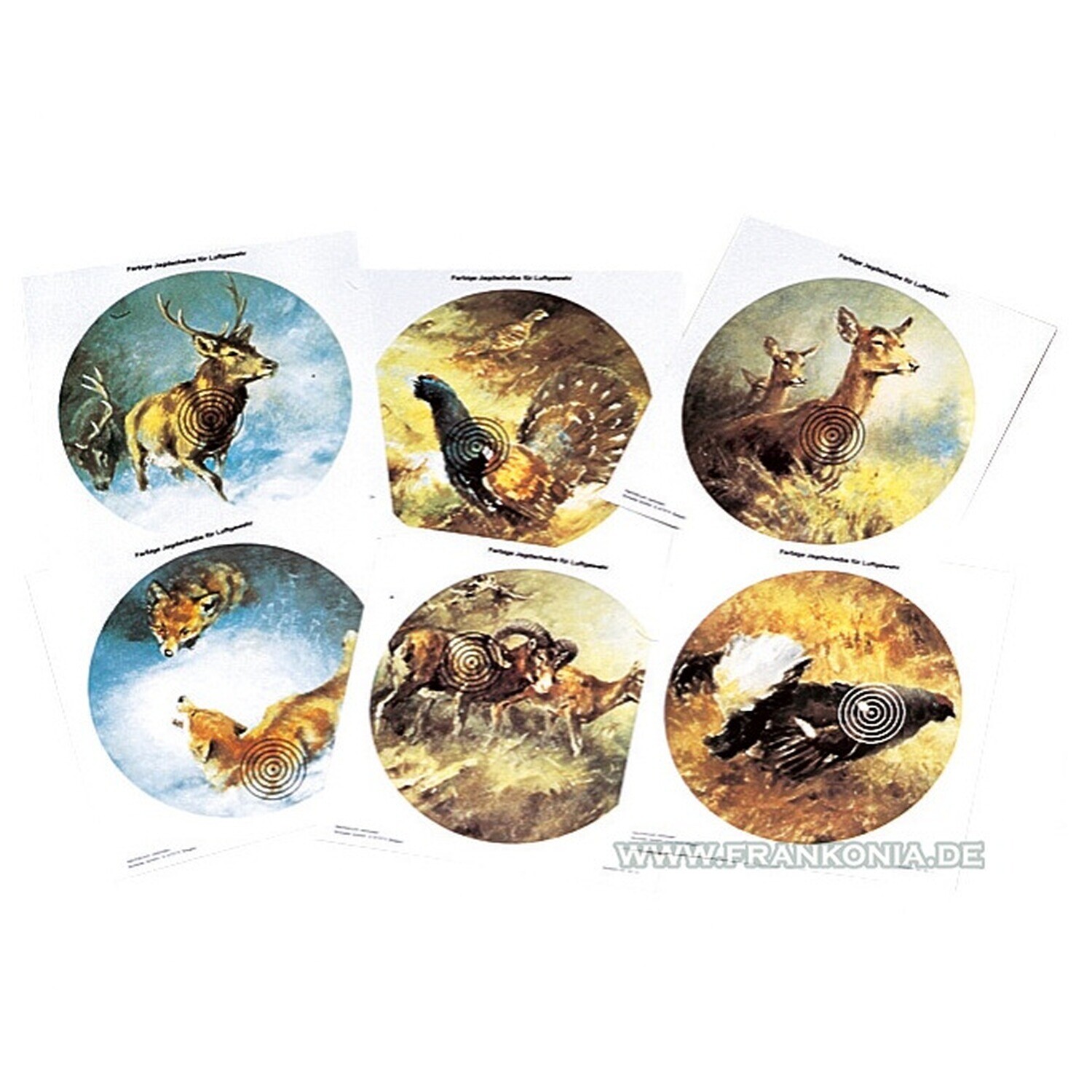 braun-сеть магазинов для любителей дикой природы в Нью-Йорке