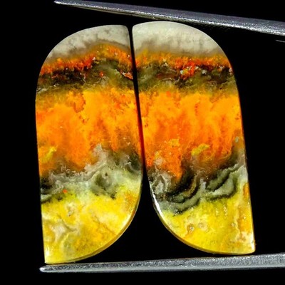 21.00Cts Natural Bumble Bee Jasper Round Cabochon loose Gemstone 11x25x4mm