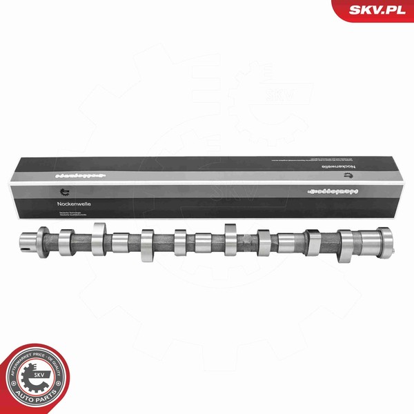 Esen SKV Nockenwelle 80SKV016 FüR Nissan Navara NP300 D40 Pickup D22 Pathfinder-image